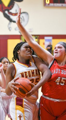 Neumann girls soaring higher as Knights defeat Bucktail in playoffs